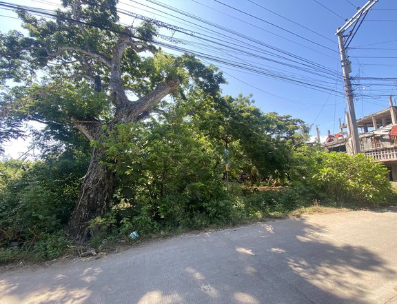 COMMERCIAL LOT FOR SALE AT DANAO, PANGLAO, BOHOL