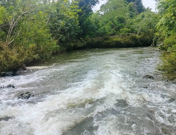 21 hectares titled River front farm lot at Catigbian Bohol 120/sqm