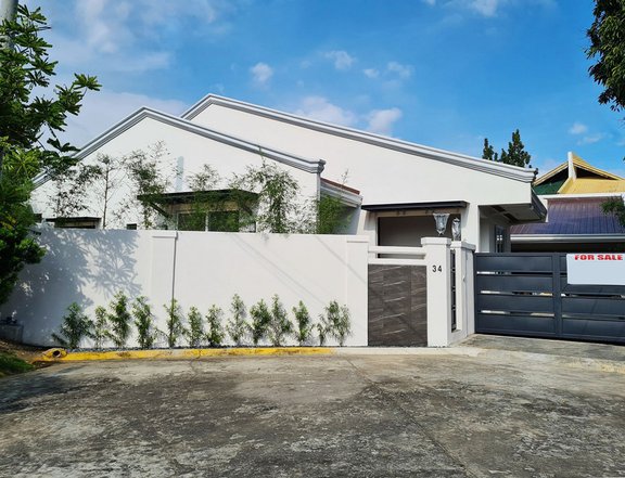 Modern Asian House on 535 Sq.m Lot for Sale in BF Homes Paranaque