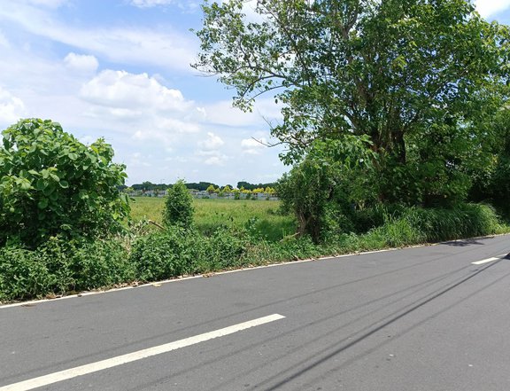 Murang Subdivided Lots sa Magalang