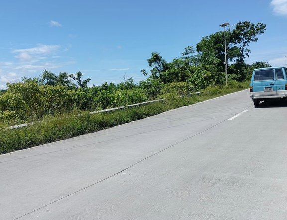 3.6 hectares title expandable up 10 has more Tagbilaran City3,500/sqm