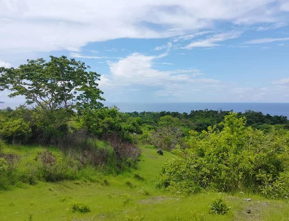 16,000 sqm seaview lot for sale 120/sqm negotiable