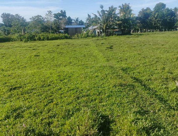 6,830 sqm  farm lot clean title for sale  Tubigon Bohol 550/sqm nego