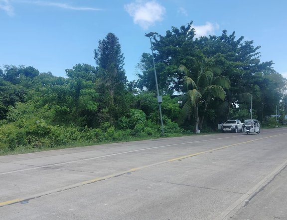 Commercial lot for sale,  back to back  frontage near  Panglao airport