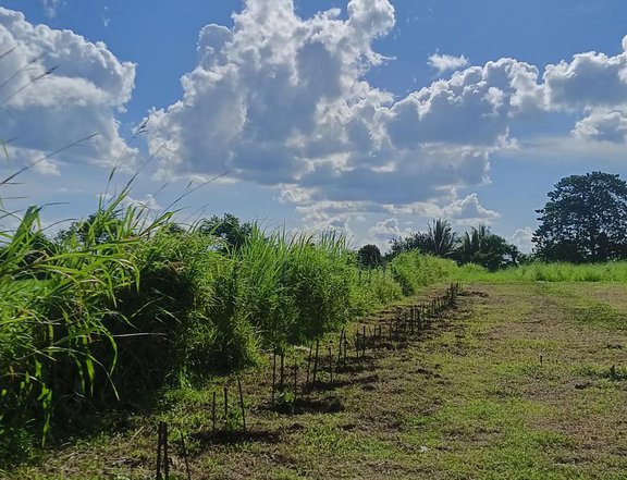 RUSH!! LOT FOR SALE ORMOC, LEYTE