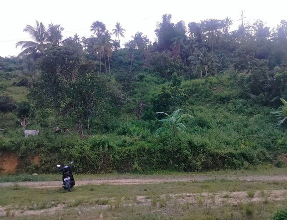 Lot for sale  6,463 sqm clean title along osmena highway Toledo City