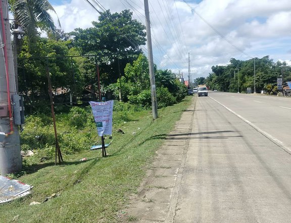 1,000 sqm clean title commercial lot for sale  H.way Panglao Island12m