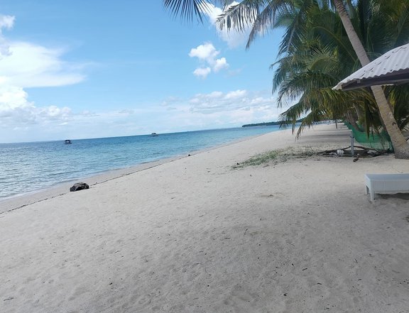 2hectares beach lot with resort income generating Bantayan Island Cebu