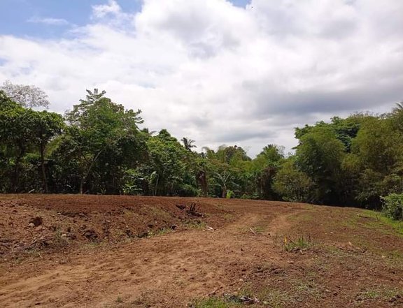 Residential farm lot for sale near Tagayatay