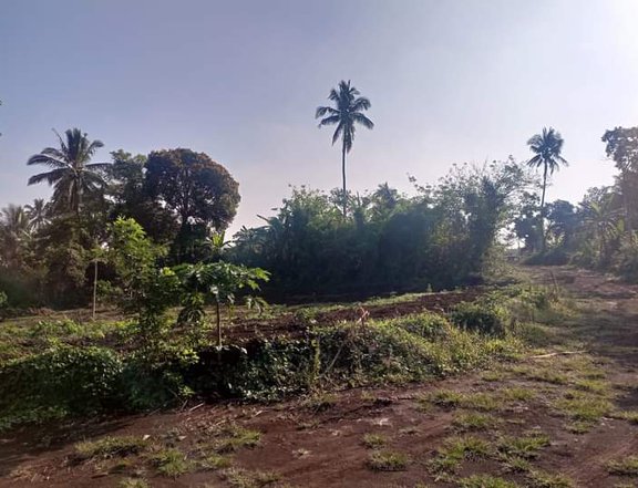 Agricultural Farm lot- for residential only