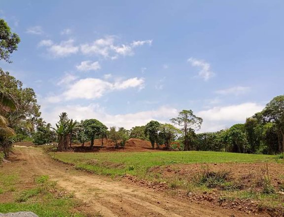 Residential farm lot  for sale near Tagaytay with cool climate