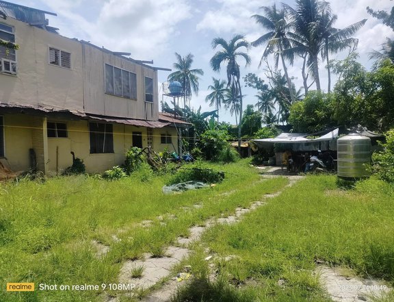 Commercial or residential lot for sale at Tubigon Bohol 8,000/sqm net