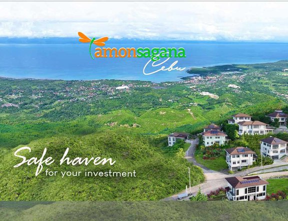 Pre-Selling 521 sqm Residential Lot For Sale in Balamban Cebu