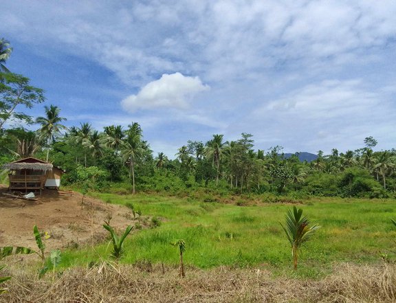 6.89 Hectares Agricultural Farm for Sale in Sison Surigao del Norte