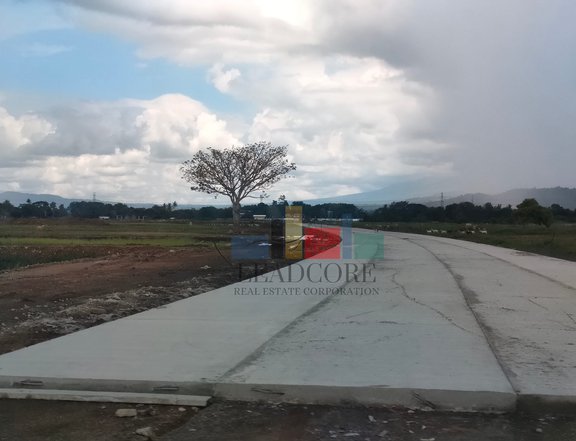 120 sqm Residential Lot For Sale in Victoria Laguna