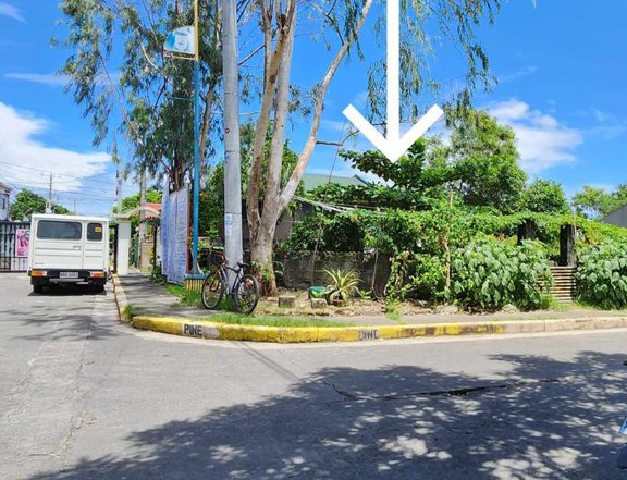 199 sqm Residential Lot For Sale in Bacoor Cavite