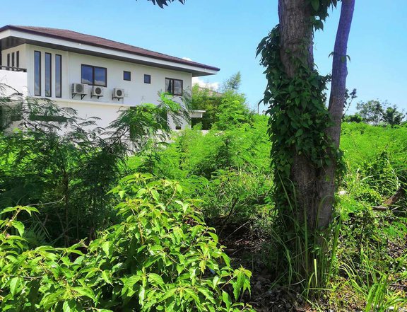 390 sqm Residential Lot For Sale in Mactan Lapu-Lapu Cebu
