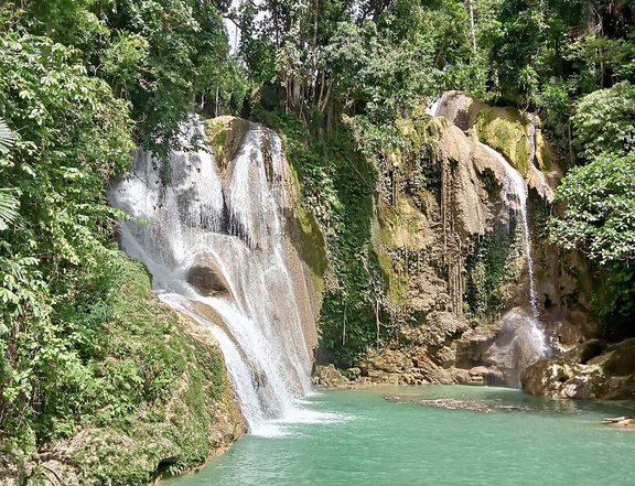 11 hectares Lot with Falls For Sale in Dimiao Bohol