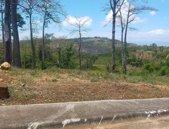 211 sqm Residential Lot For Sale in Antipolo Rizal
