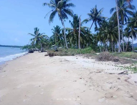 1 hectare Beach lot in Roxas, Palawan