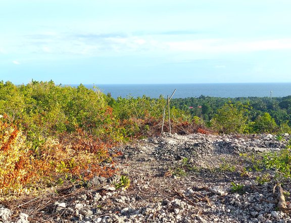 Overlooking Lot with Seaview in Dauis Bohol