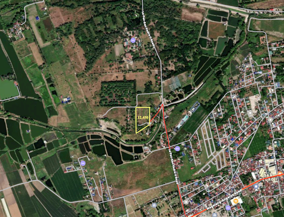 1.25 hectares Agricultural Farm For Sale in Magalang Pampanga