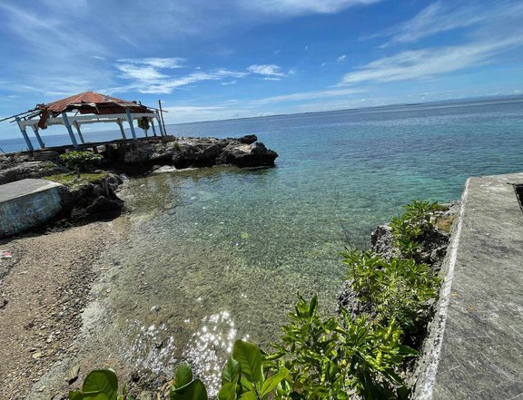 7,602 sqm Beach Property For Sale in Mactan Lapu-Lapu Cebu