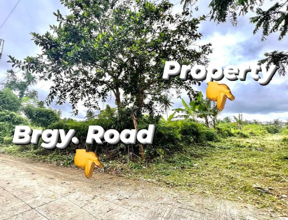 400 sqm RESI-FARM IN INDANG CAVITE - installment with NO INTEREST