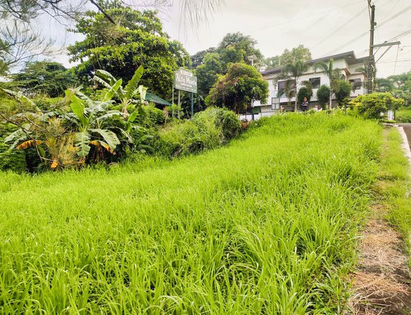200 sqm Residential Lot For Sale in Taytay Rizal