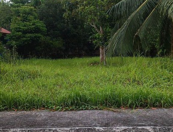 750 sqm Hacienda Lot For Sale in Lipa Batangas