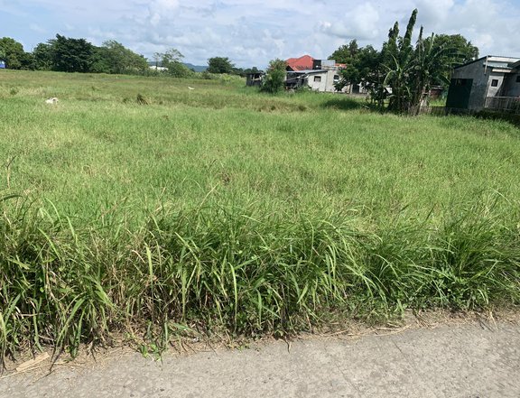 867 sqm Residential/Commercial Lot for SALE in Balayan, Batangas