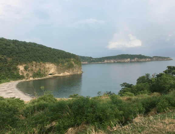 Consolidated Agricultural Lots For Sale in Ternate, Cavite