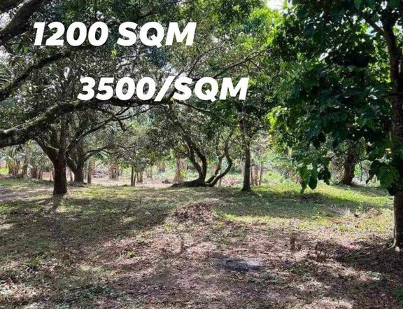 1,200 sqm Residential Farm For Sale in Indang Cavite- INSTALLMENT