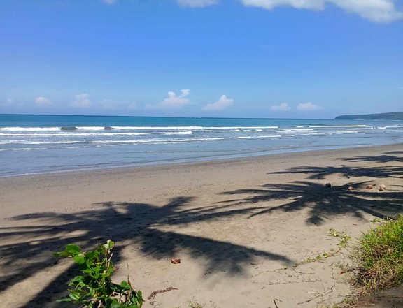 2.9 hectares Beach Property For Sale in Aborlan Palawan