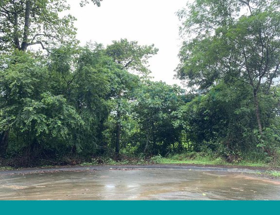 1519 sqm Residential Lot For Sale in Forest Farms, Angono Rizal