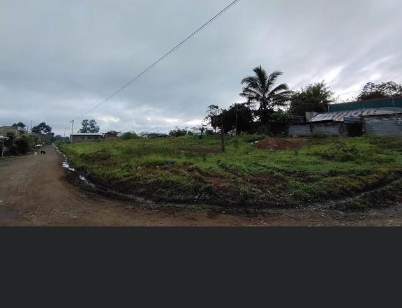 4,498 sqm Residential Farm For Sale in Calanawan, Manolo Fortich Buk.