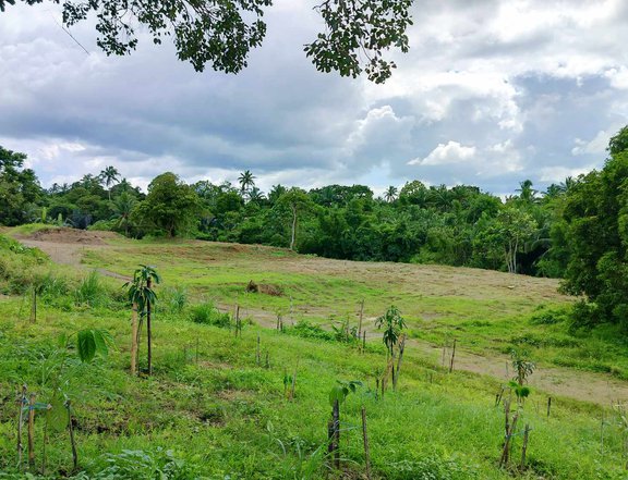 300 sqm Farm Lot for sale Near Tagaytay Payable in 5 years No interest