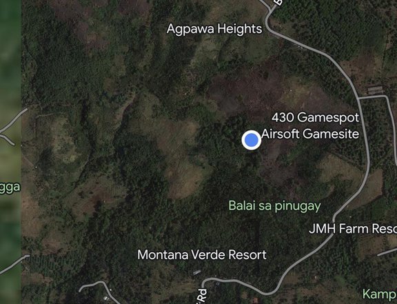 2.8 hectares Agricultural Farm For Sale in Baras Rizal