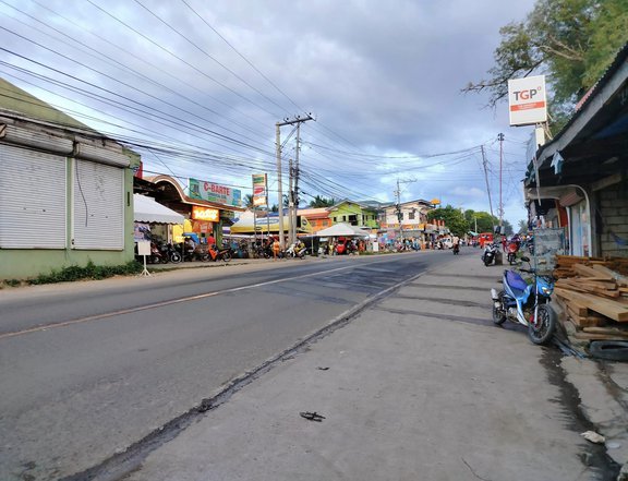 Lot for sale 400 sqm at back of Public Market San Remegio Cebu