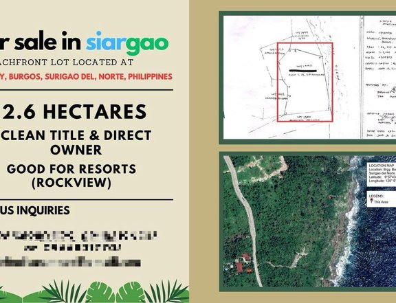 2.6 HECTARES BEACH PROPERTY FOR SALE IN SIARGAO