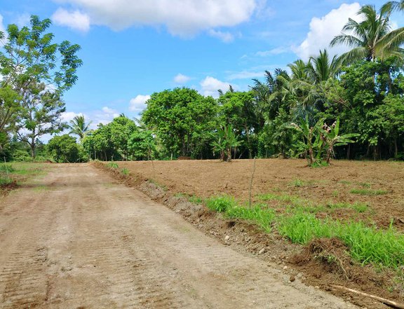 Affordable Residential Farm near Tagaytay Located at Alfonso Cavite