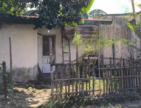 Single Detached House and Lot for Sale in Sabang Dasmarinas Cavite