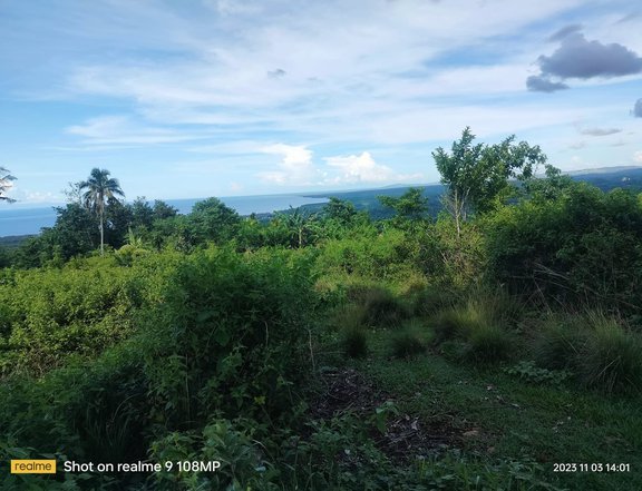 Seaview lot for sale 7,099 sqm clean title at Clarin Bohol 300/sqm