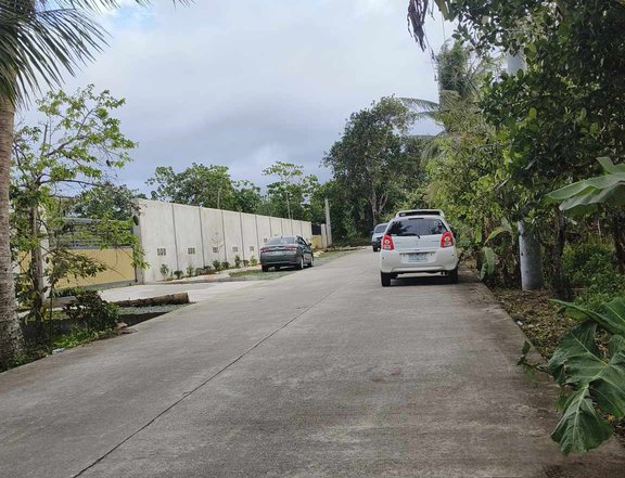 1,000 sqm Residential Farm For Sale in Amadeo Cavite