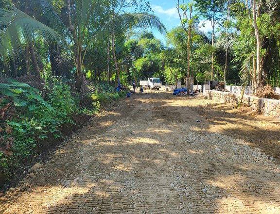 Residential Farm lot - Agricultural land in Alfonso Cavite
