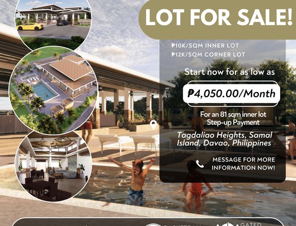 81 sqm Residential Lot For Sale in Samal Davao Del Norte