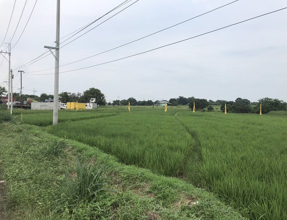 2.75 hectares Agro-Industrial Farm For Sale in Bustos Bulacan