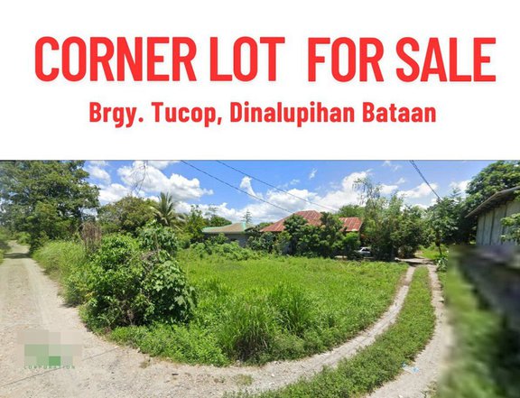 498 sqm Residential Lot For Sale in Dinalupihan Bataan