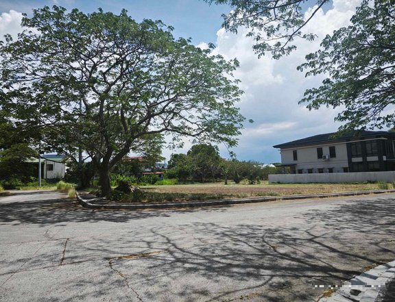 Residential Lot For Sale in The Orchard Residential Estate JS202503017