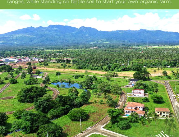 Residential Farm  lots for sale  in HACIENDA ESCUDERO Tiaong Quezon